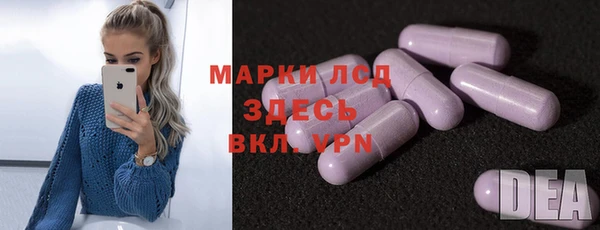 прущие грибы Алзамай