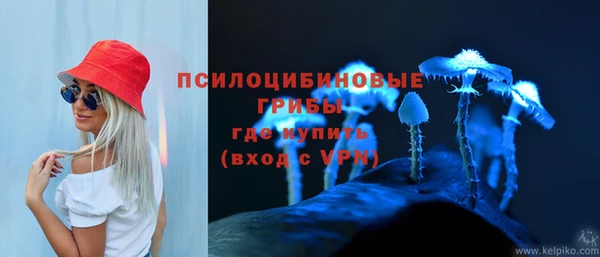 тгк Алексин