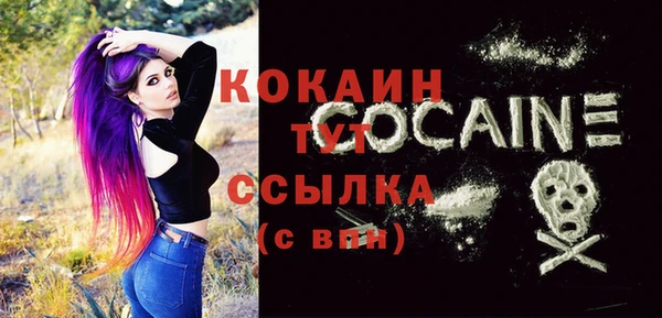 тгк Алексин