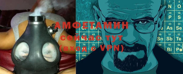 прущие грибы Алзамай